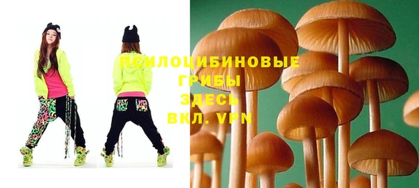 не бодяженный Новодвинск