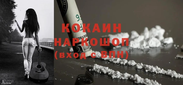 твердый Новозыбков