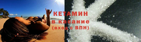 твердый Новозыбков