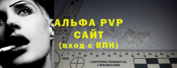 твердый Новозыбков