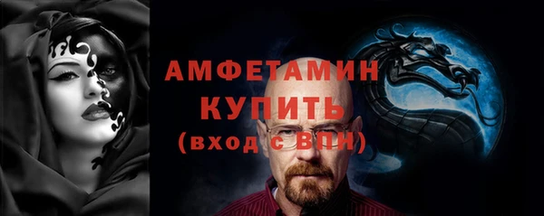 твердый Новозыбков