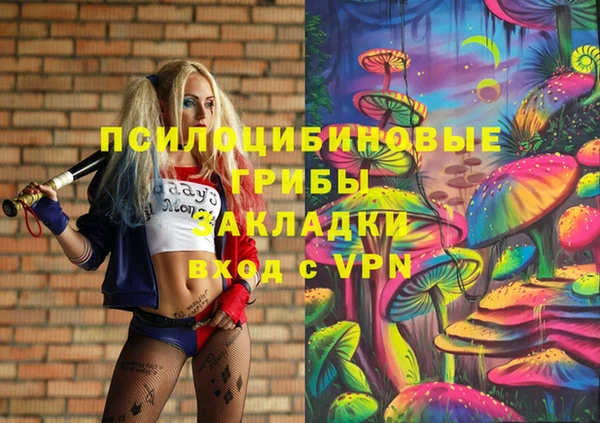 твердый Новозыбков