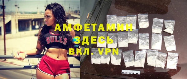 твердый Новозыбков