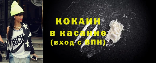 твердый Новозыбков