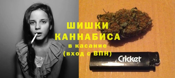 не бодяженный Новодвинск