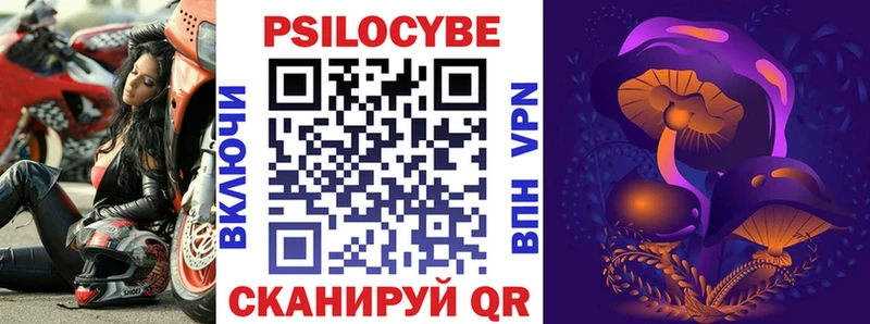 Псилоцибиновые грибы Cubensis закладка Екатеринбург